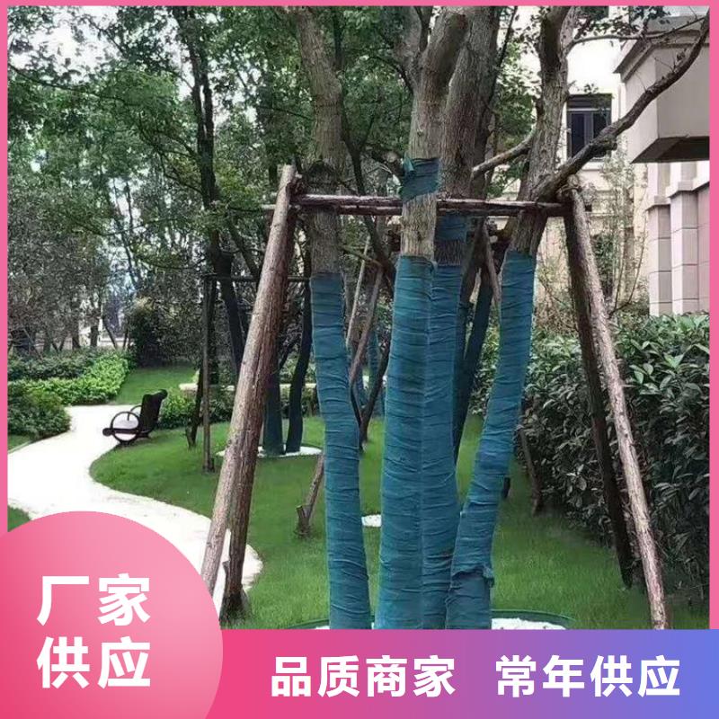 裹树布复合膜订制批发