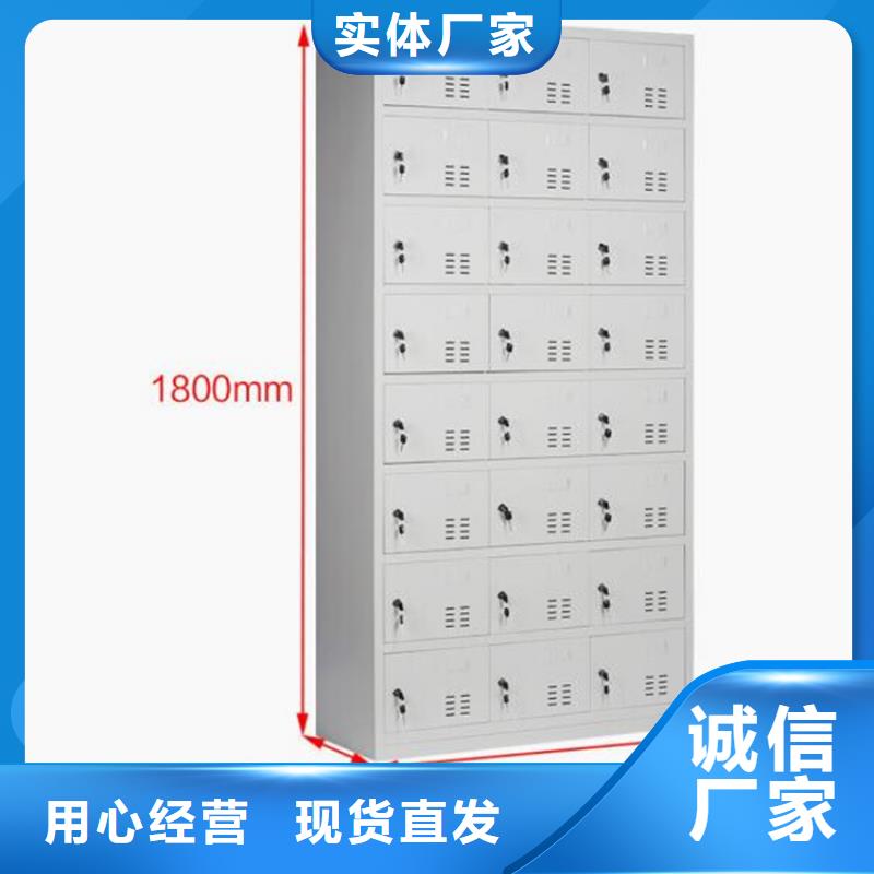 二门铁皮柜双柱钢制书架