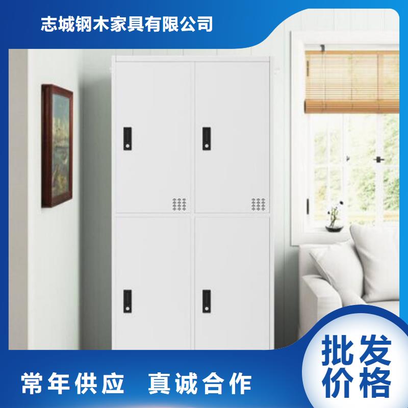 二门铁皮柜双柱钢制书架