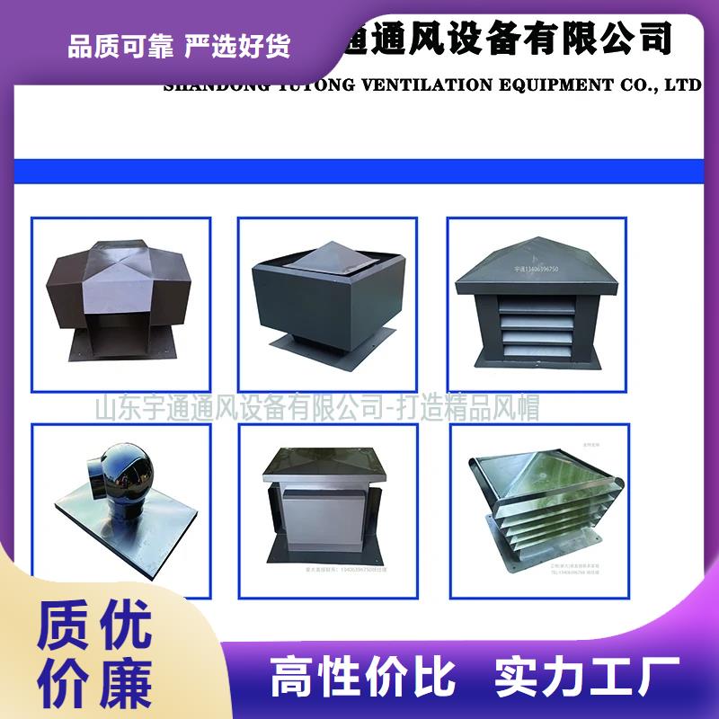 CFD500防倒灌风帽-发货快