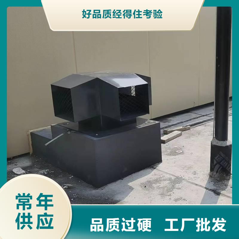 县烟道D系列风帽实力老厂