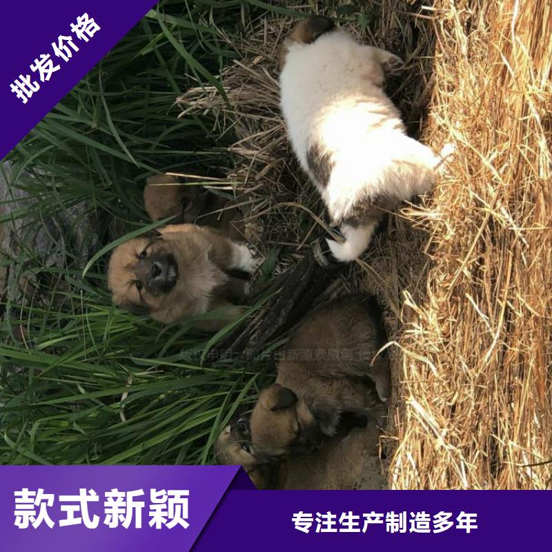 无醇燃料,无醇燃料灶具客户好评