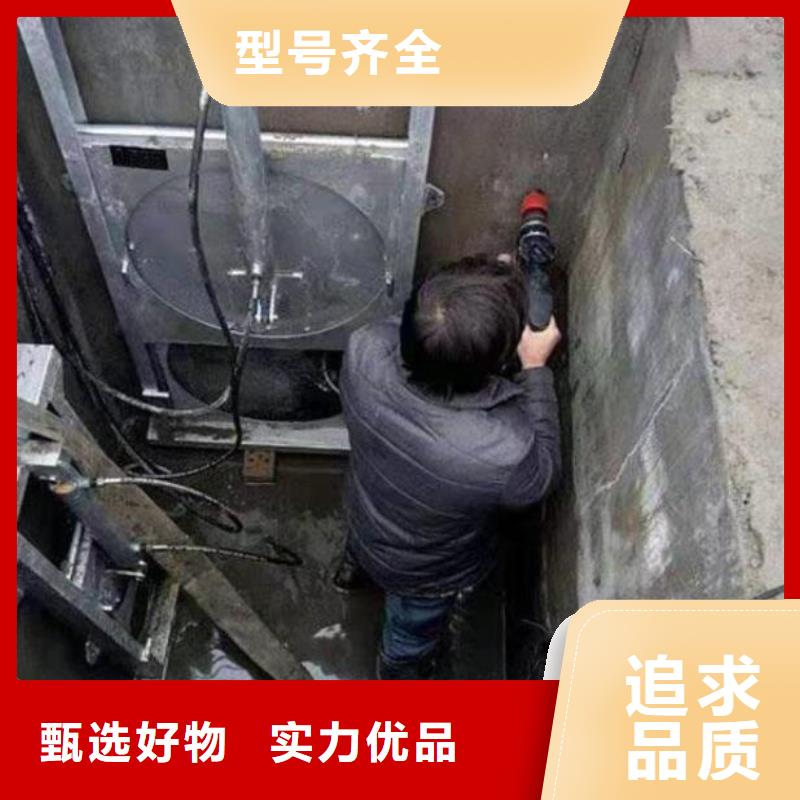 截流井闸门截污闸门专业完善售后