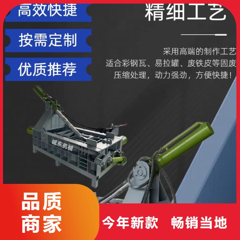 压块机汽车压块机源头厂家经验丰富