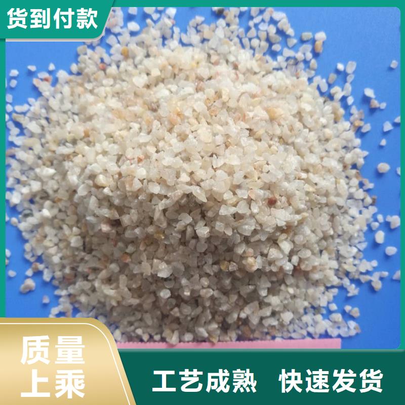 石英砂 【聚丙烯酰胺】就近发货