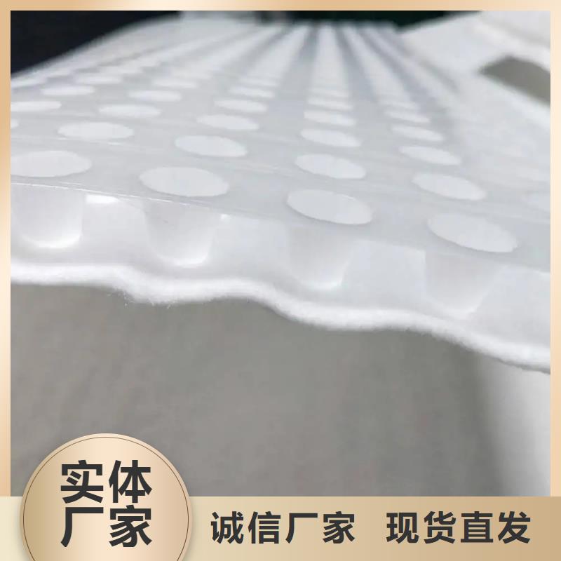 虹吸排水-【植草格】厂家直销售后完善