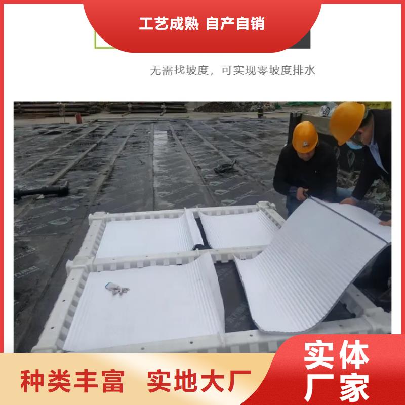 虹吸排水水泥化粪池厂家直营