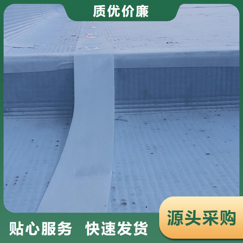 【虹吸排水植草格厂家直销直供】