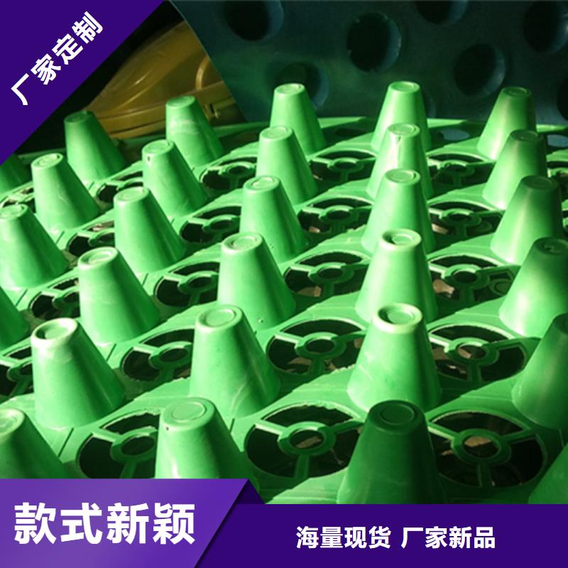虹吸排水  植草格专业生产厂家