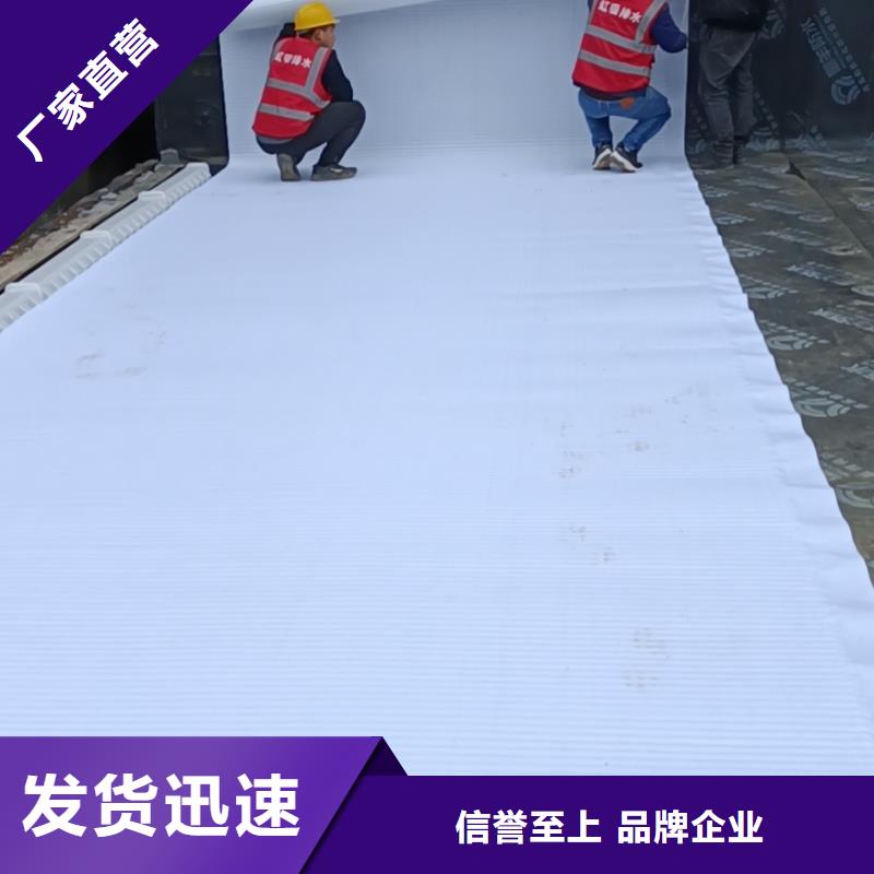 虹吸排水排水板信誉至上