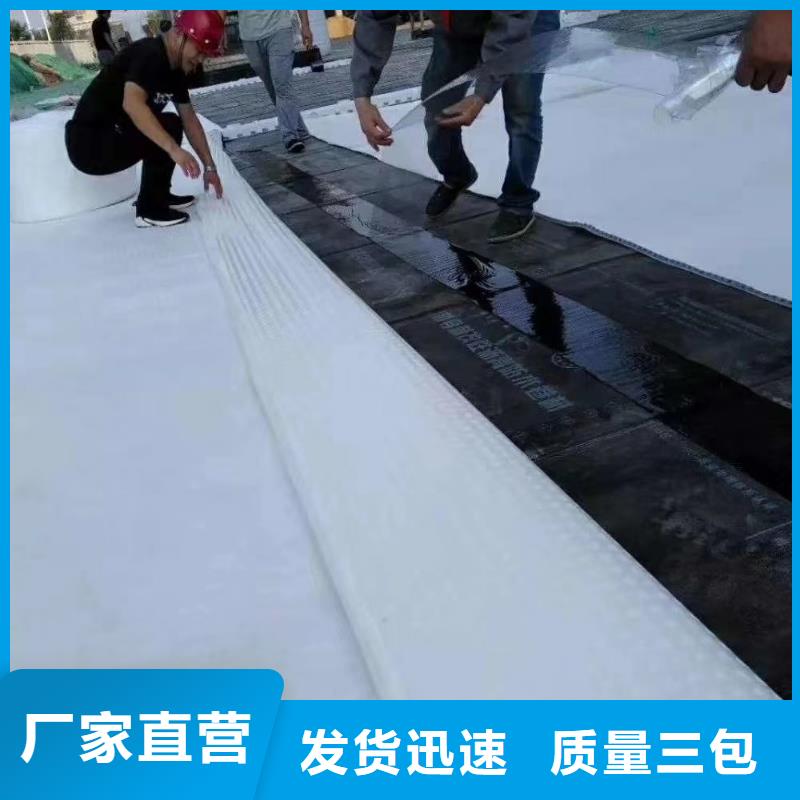 虹吸排水植草格以质量求生存