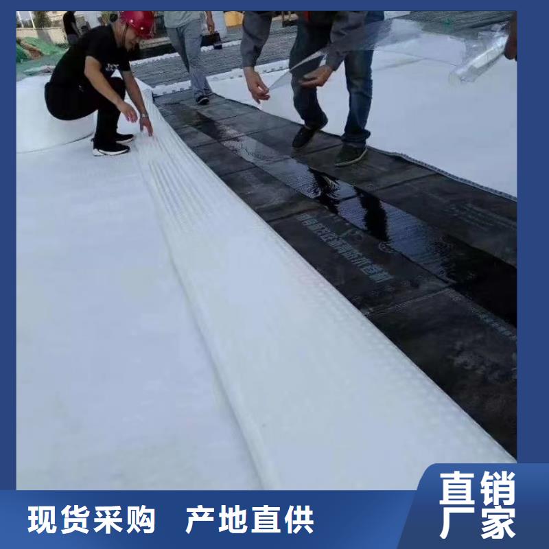 虹吸排水水泥化粪池自主研发