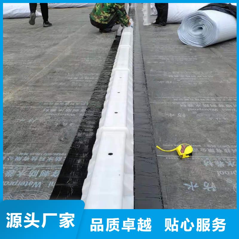 虹吸排水排水板真材实料加工定制
