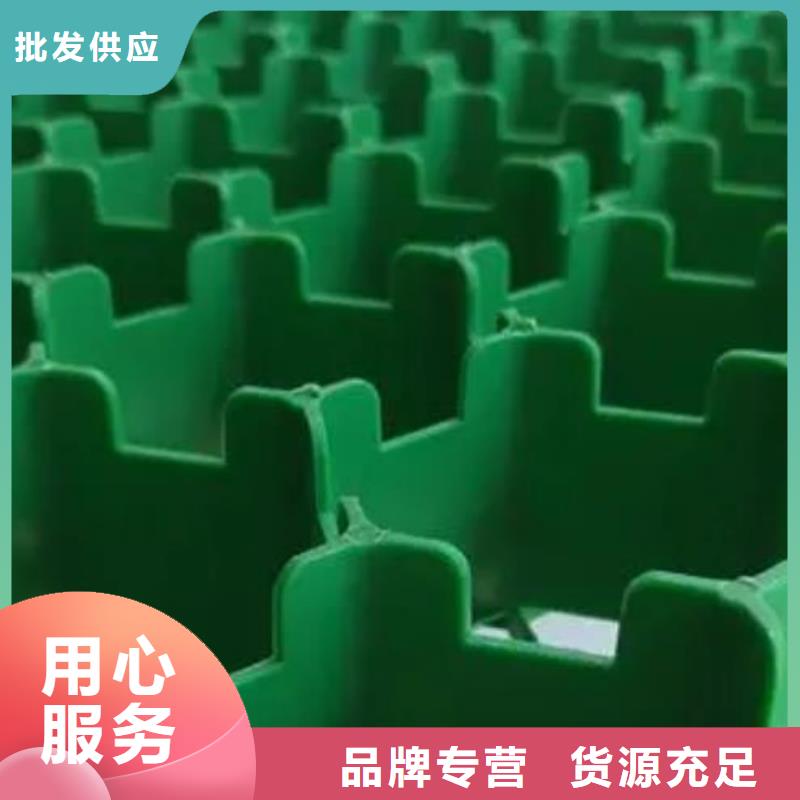朋联【植草格】, 植草格专注细节更放心cg39.com