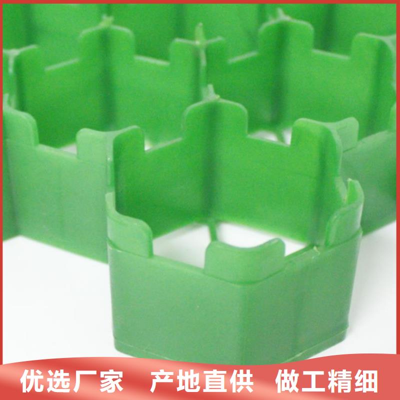 植草格植草格产品性能