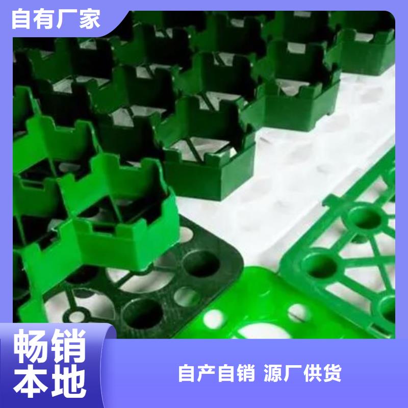植草格按需定制真材实料