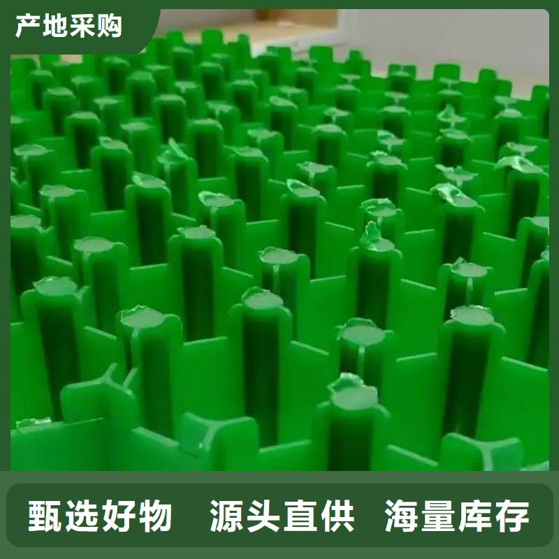 植草格水泥化粪池质检合格发货