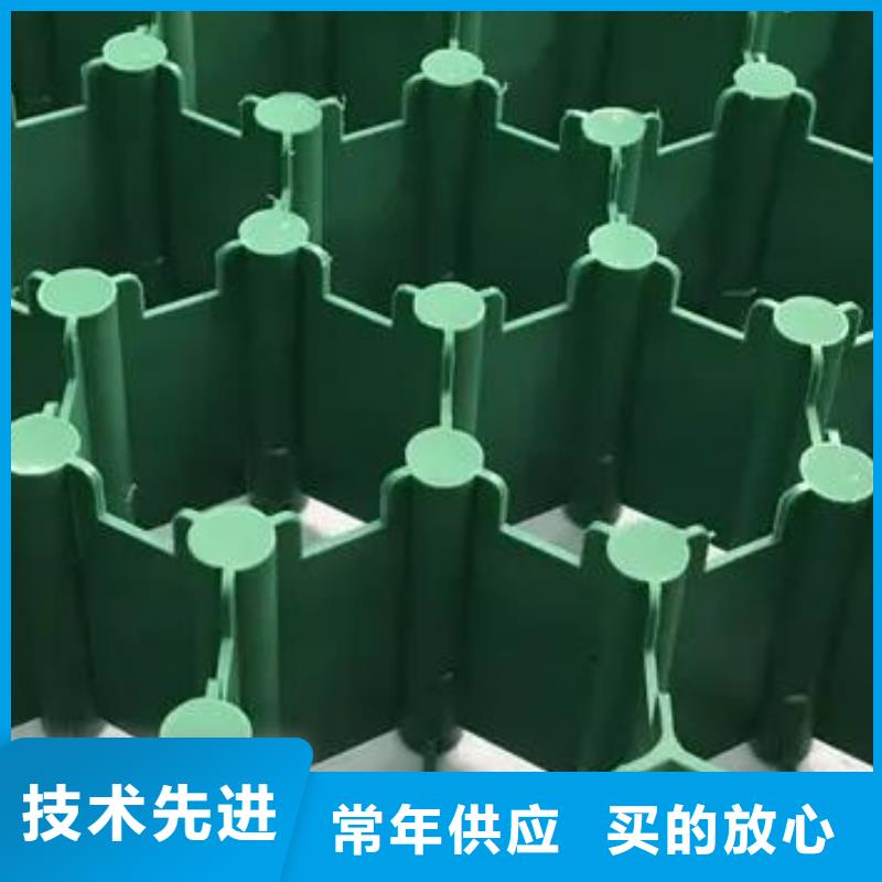【植草格排水板支持定制贴心售后】