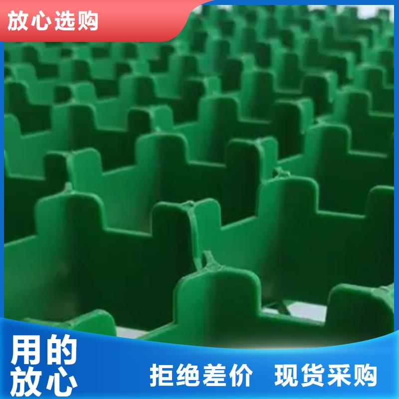 植草格_水泥化粪池物美价优