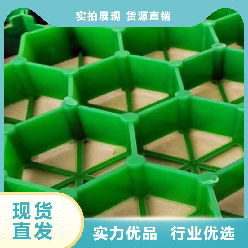 植草格-排水板为您提供一站式采购服务