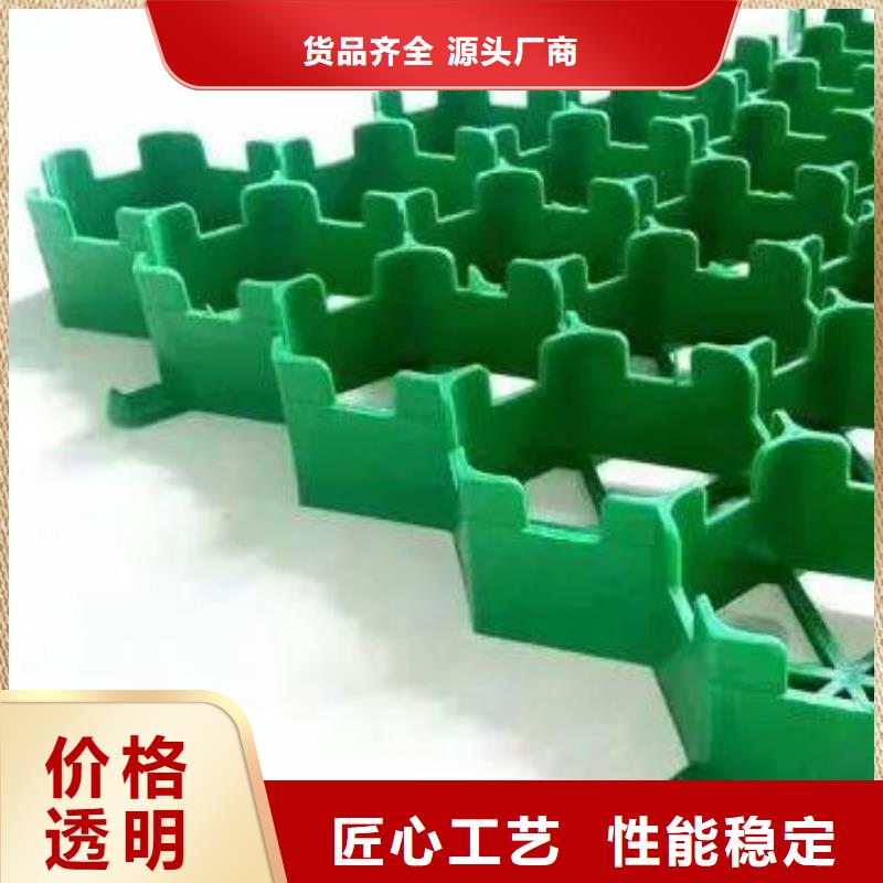 植草格防护虹吸排水收集系统实力见证