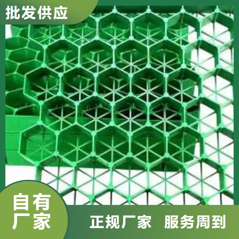 植草格_水泥化粪池物美价优
