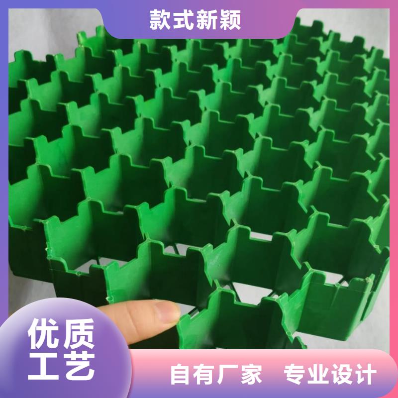 植草格植草格厂家直销直供