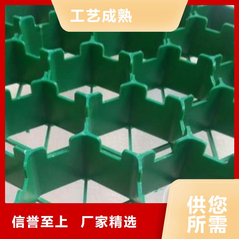 植草格按需定制真材实料