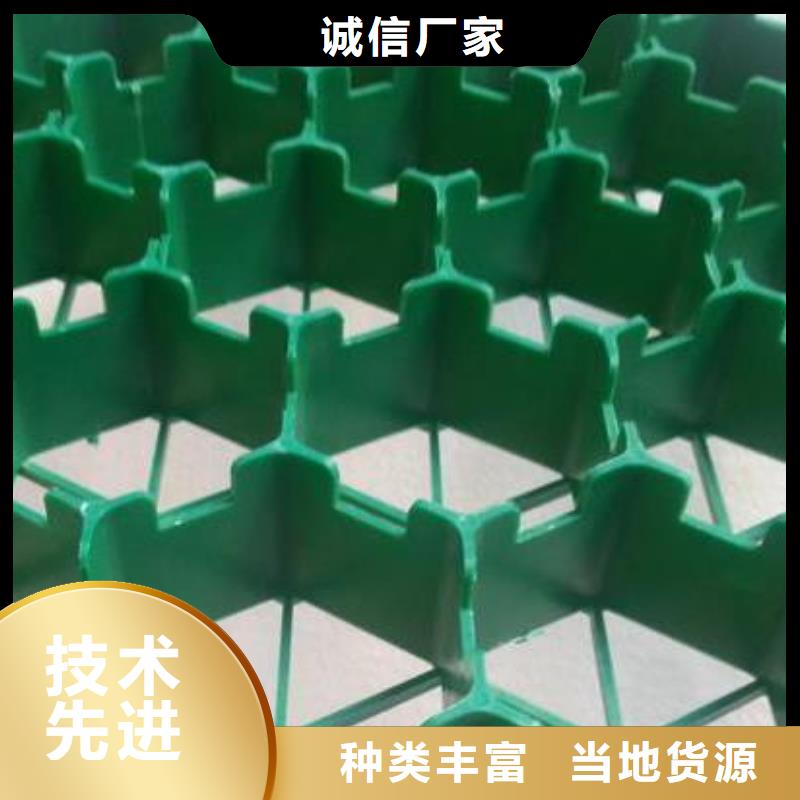 植草格-防护虹吸排水收集系统实力厂家