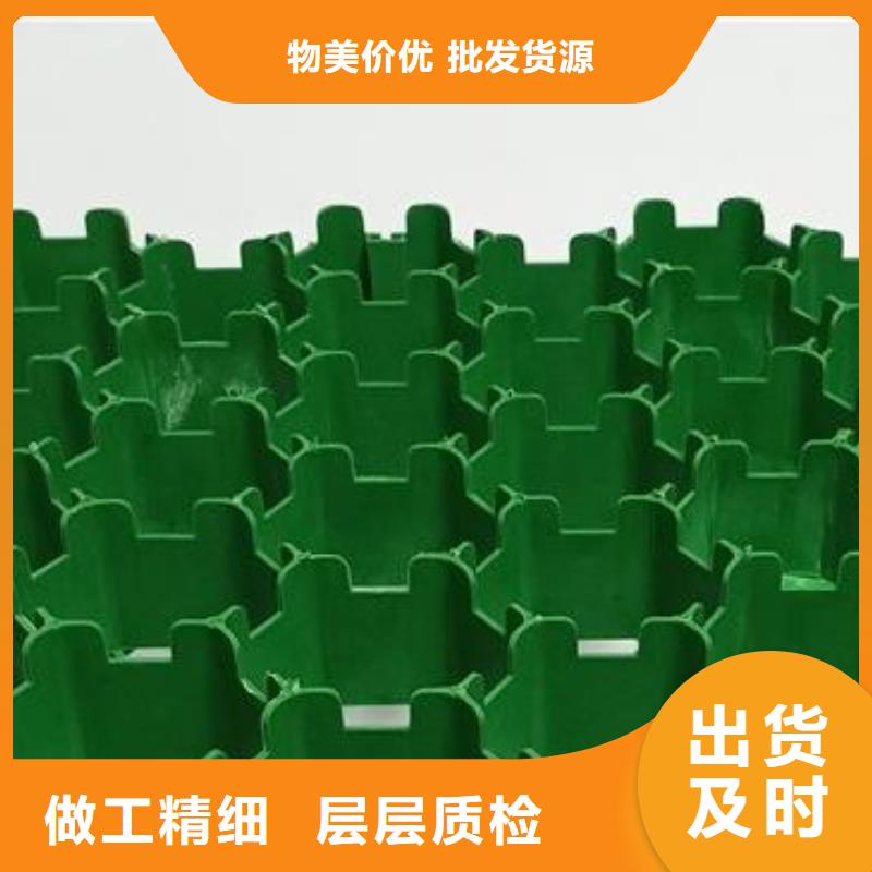 【植草格】防护虹吸排水收集系统专注细节使用放心