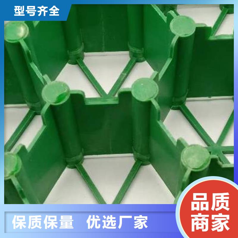 植草格防护虹吸排水收集系统源厂直接供货