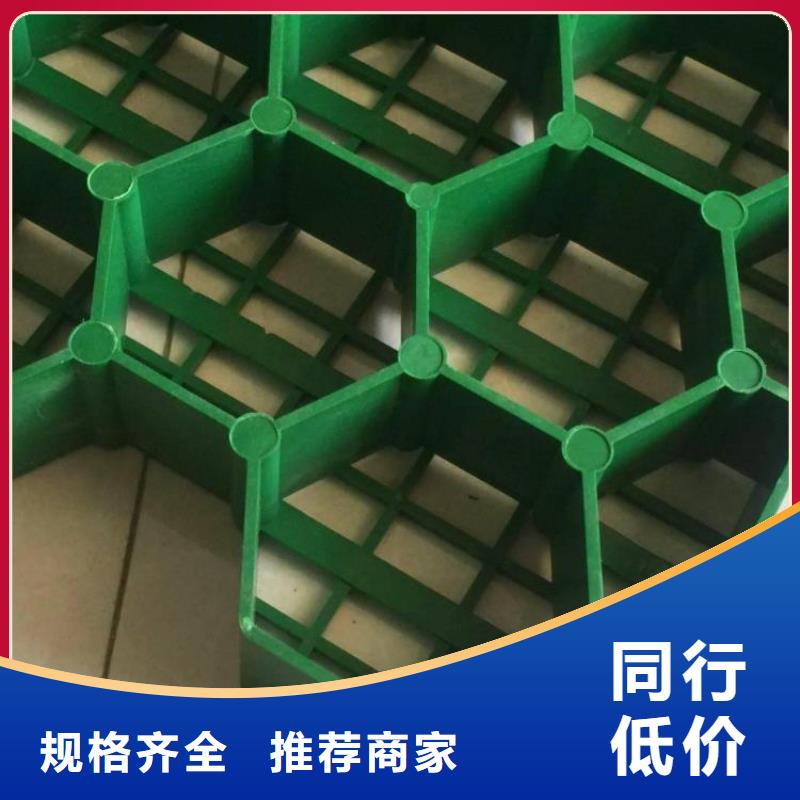植草格-防护虹吸排水收集系统专注质量
