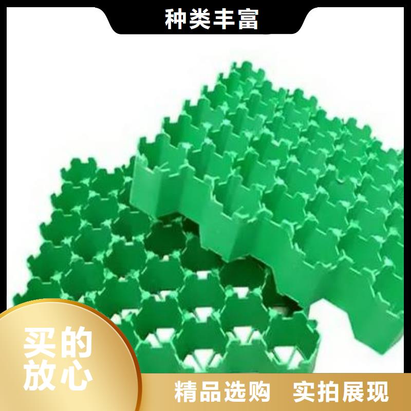植草格化粪池水泥源头工厂