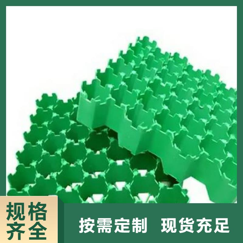【植草格】防护虹吸排水收集系统大厂生产品质