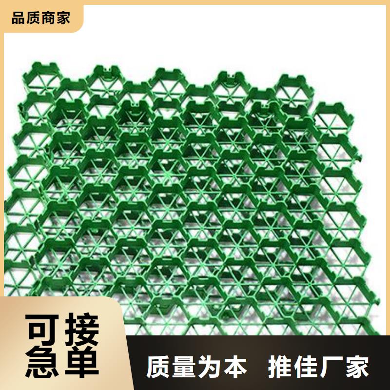 植草格排水板采购