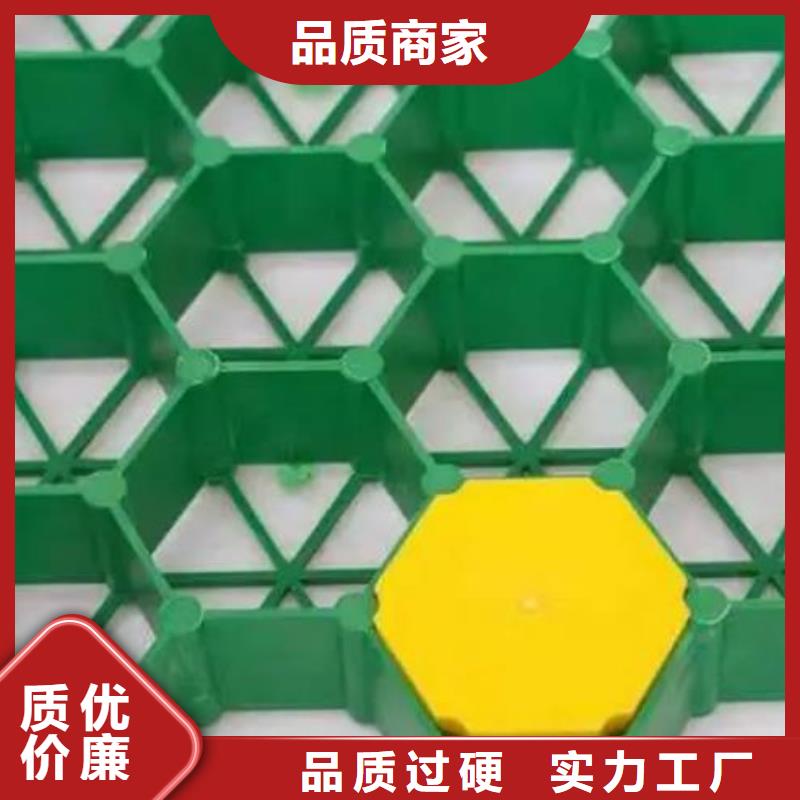 植草格,植草格厂家直接面向客户