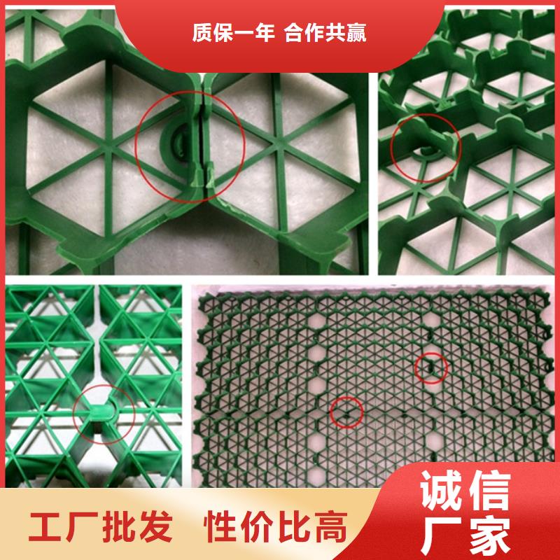 植草格化粪池水泥源头工厂