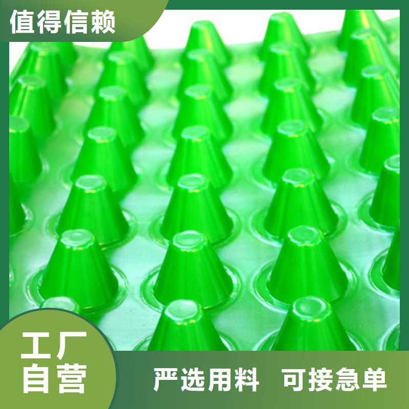 塑料排水板_【车库虹吸排水系统】讲信誉保质量|海陵|兴化|泰兴|姜堰cg39.com
