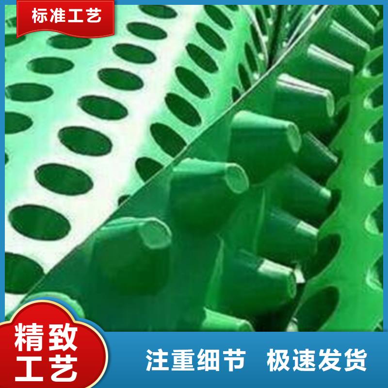 【 塑料排水板 植草格货源报价】_朋联工程材料(昭通市分公司)