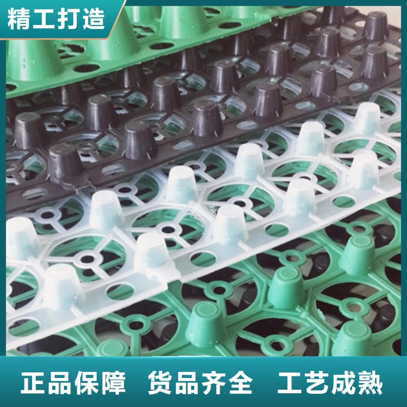 合作共赢 塑料排水板_【车库虹吸排水系统】讲信誉保质量