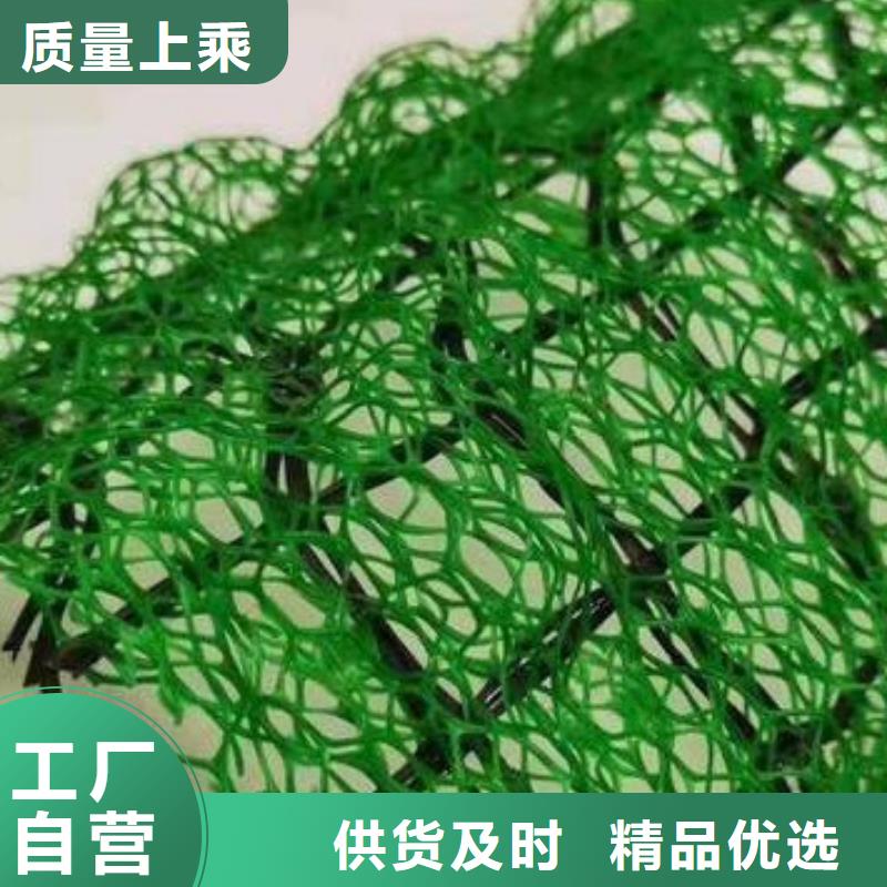 三维植被网防护虹吸排水收集系统实力才是硬道理