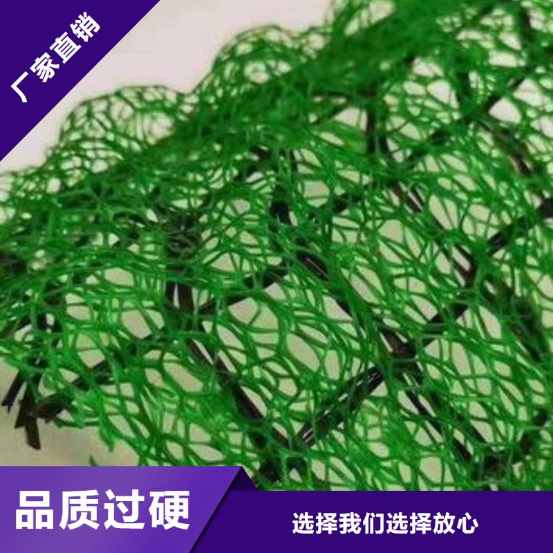 【三维植被网-防护虹吸排水收集系统货到付款】