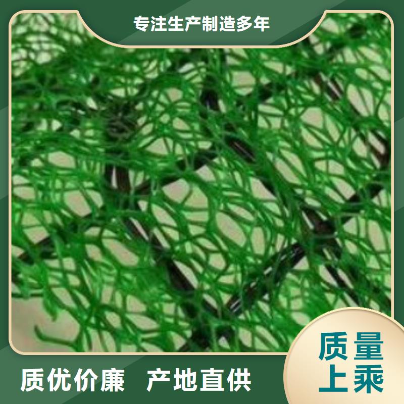 三维植被网水泥化粪池品质保证实力见证