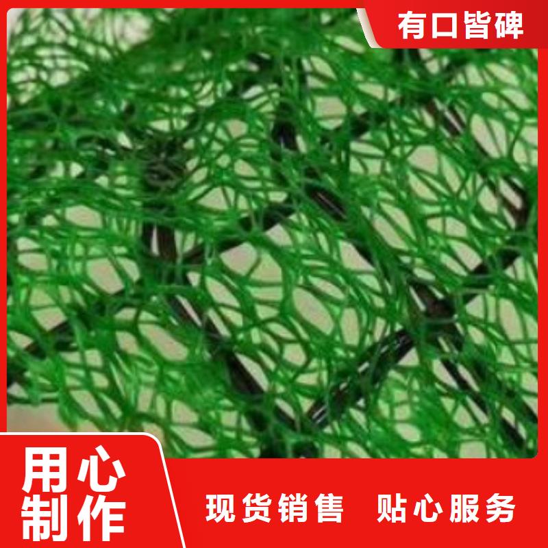 三维植被网水泥化粪池购买的是放心