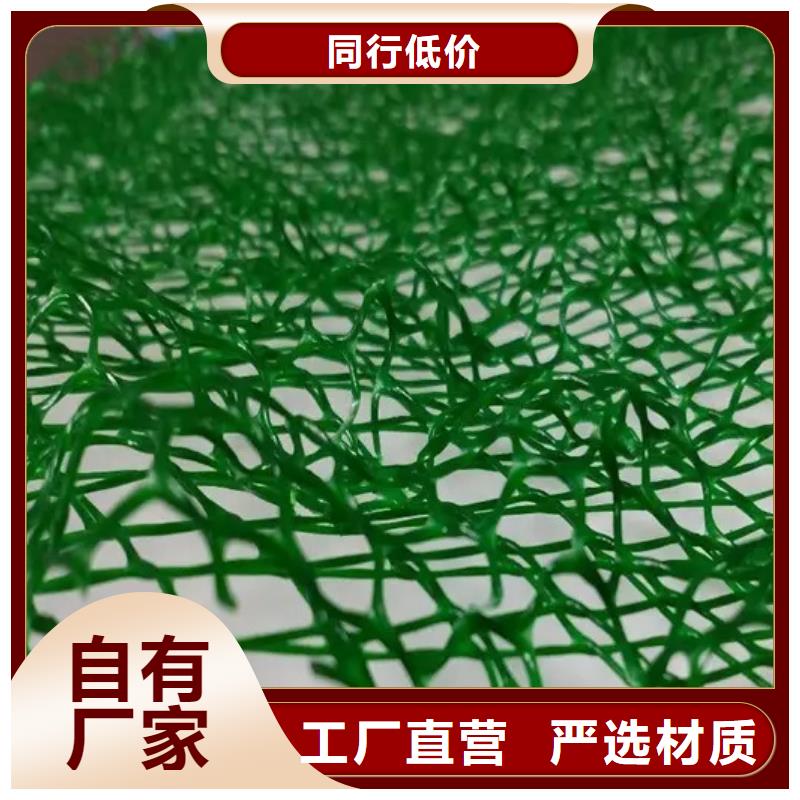 三维植被网, 植草格专注质量