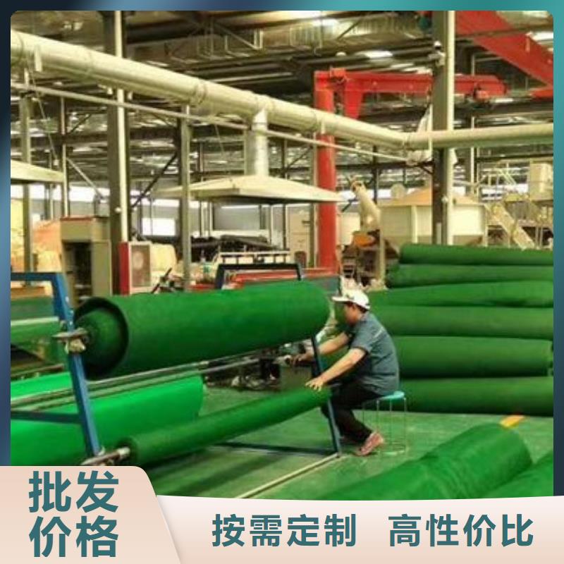 三维植被网【防护虹吸排水收集系统】不只是质量好