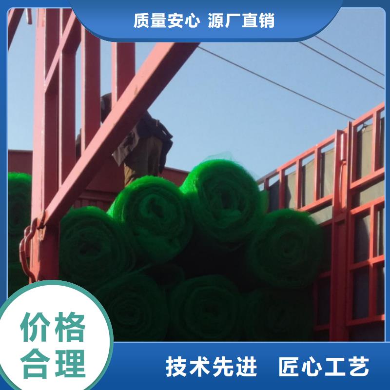 【三维植被网】车库虹吸排水系统品质无所畏惧