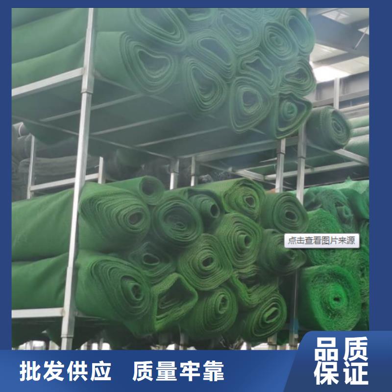 三维植被网,植草格多种优势放心选择