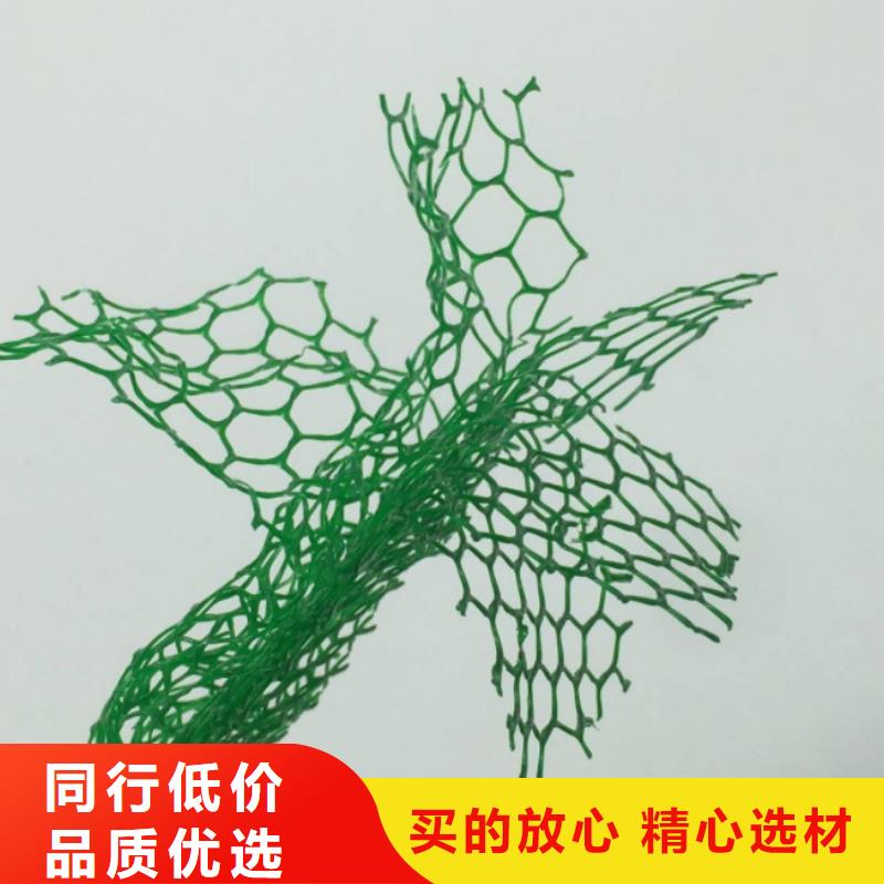 三维植被网化粪池水泥选择我们选择放心