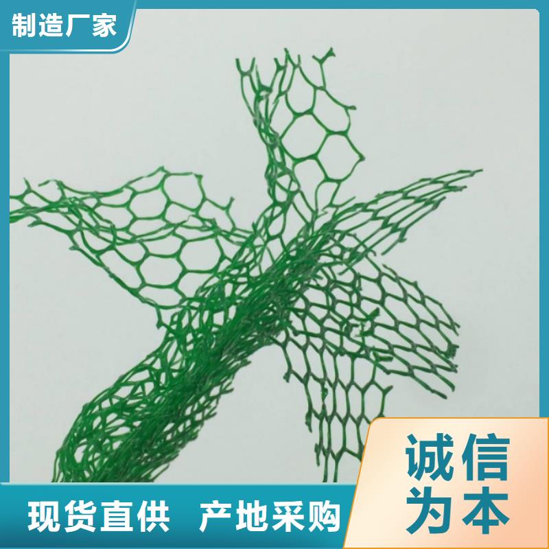 三維植被網(wǎng)植草格優(yōu)選原材